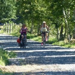 sur le halage entre MAYENNE et ST JEAN SUR MAYENNE