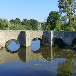 Pont médiéval de GOUGE