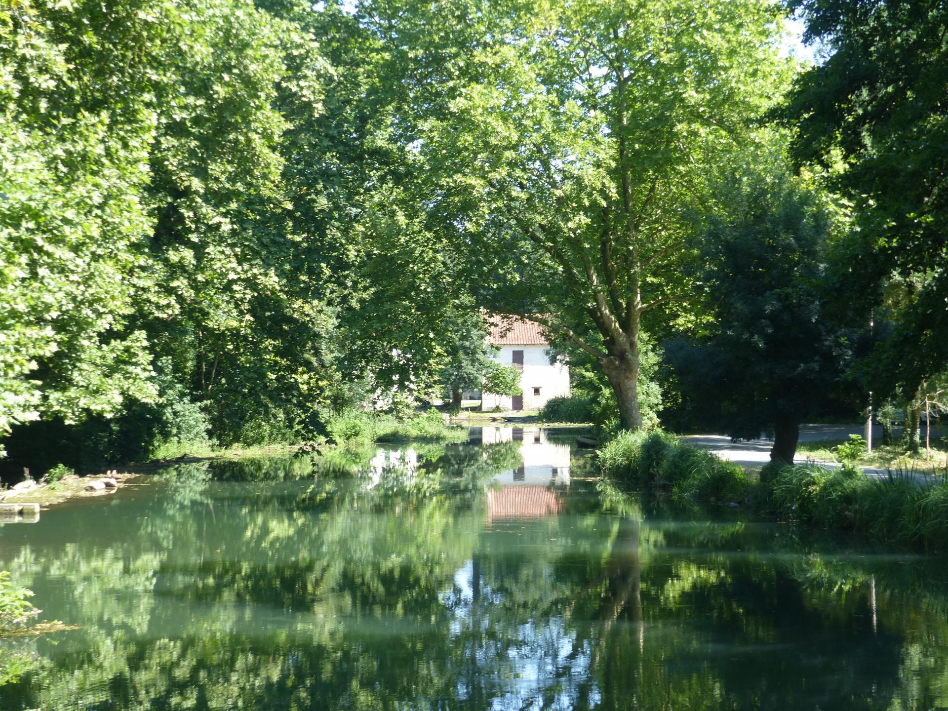 La Venise verte