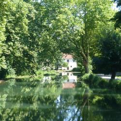 La Venise verte