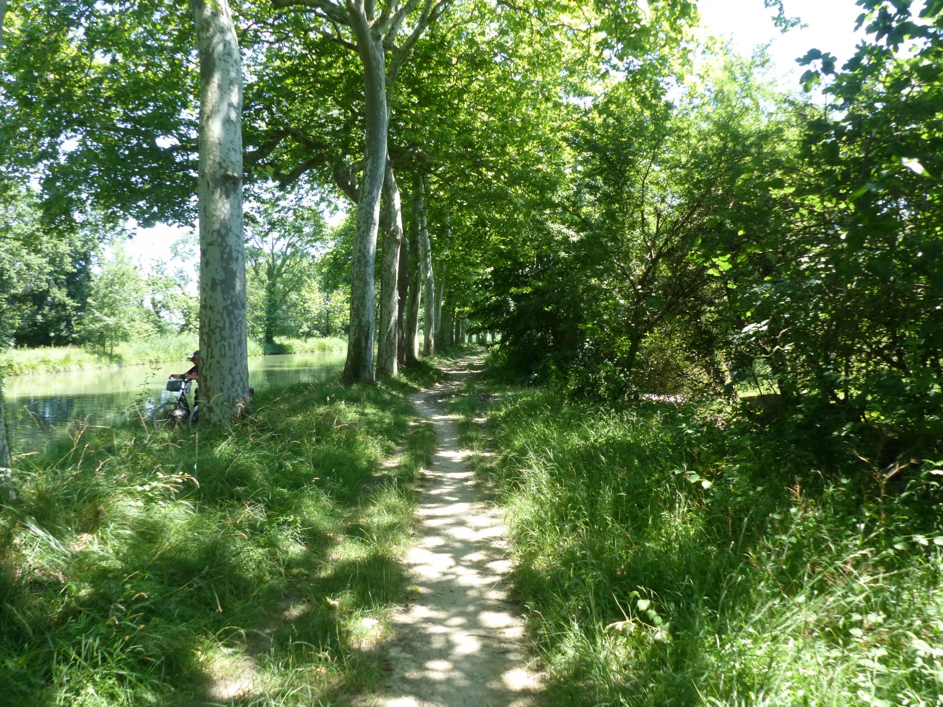 Le Canal du Midi dans l'AUDE !!