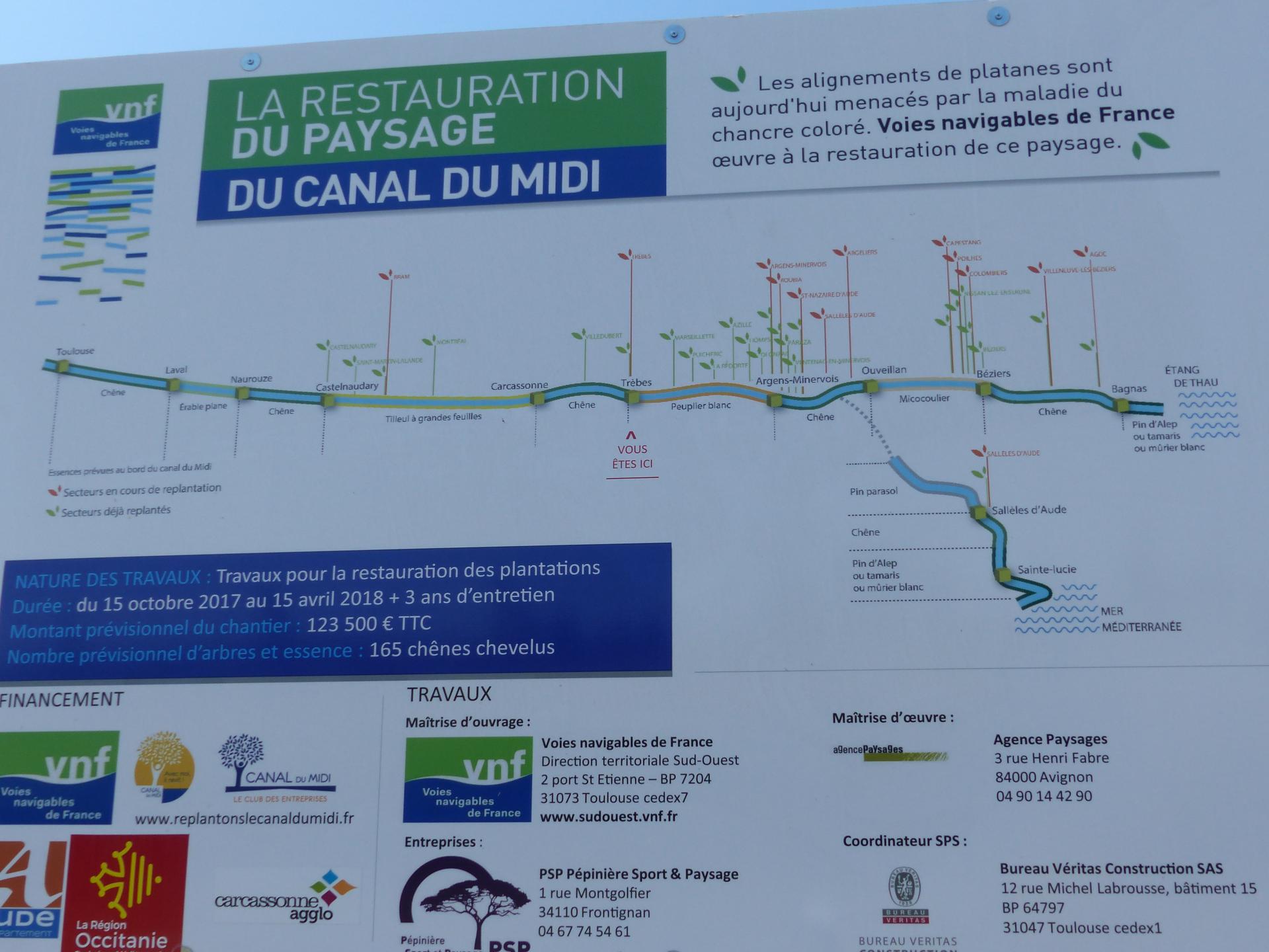 Restauration du reboisement