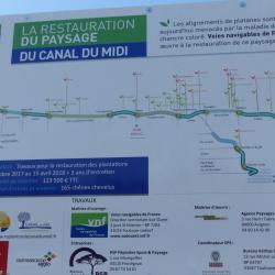Restauration du reboisement