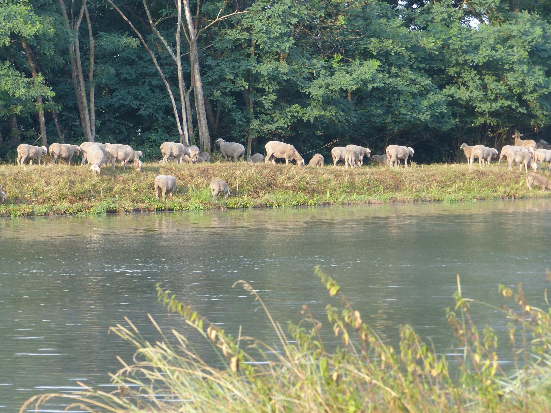 Sur l'autre rive du canal