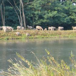 Sur l'autre rive du canal