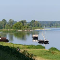 Panorama sur la Loire