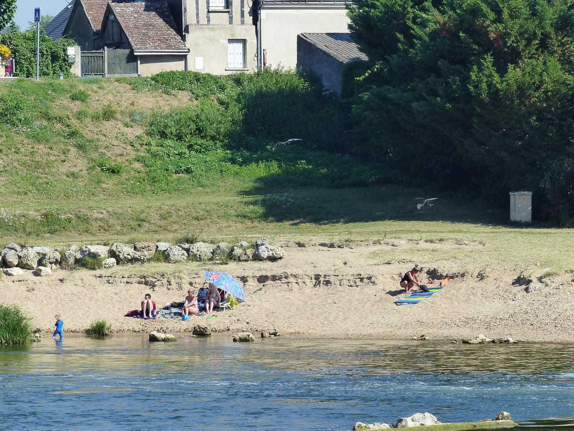 Une plage sur la Loire