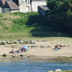Une plage sur la Loire